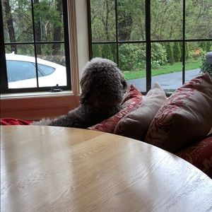 Meet your Posher, Scott